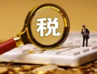 跨境电商全球税务处理策略教程：构建全球化税务风控体系