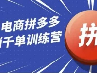 白凤电商拼多多日销千单运营训练营