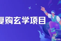 高复购玄学项目教程与话术：小白入门无限制