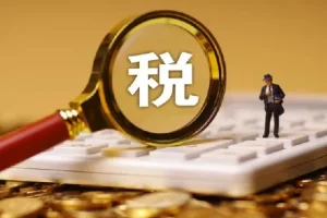 跨境电商全球税务处理策略教程：构建全球化税务风控体系