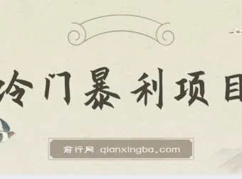 抖音车载U盘销售暴利项目教程（附素材）