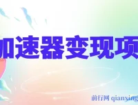 加速器变现项目：单人手机轻松操作，多劳多得