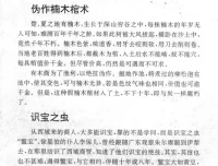 民间失传绝技与秘术大全