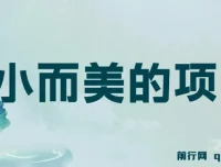 视频点赞赚钱项目：轻松获利指南