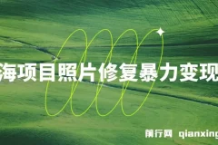 蓝海照片修复变现教程：无门槛小白项目