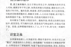 民间失传绝技与秘术大全