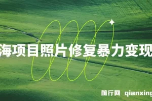 蓝海照片修复变现教程：无门槛小白项目