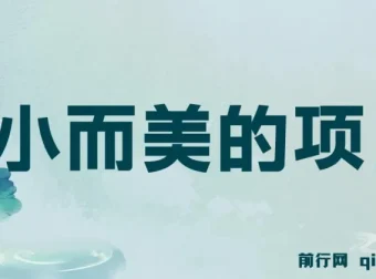 视频点赞赚钱项目：轻松获利指南
