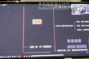 纪主任亲授拼多多运营3节课：7 – 8月爆款实操技巧