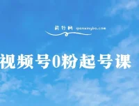 视频号0粉起号实操课程：自然流与微付费结合