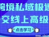 跨境私域极速成交线上高级课程