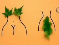 性科学书籍合集：探索多元性健康知识