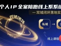 个人IP全案陪跑线上系统课：双域闭环落地实操