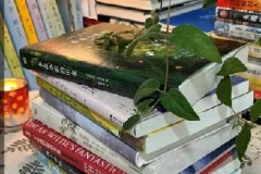 100本精选实用图书合集：提升生活与技能品质