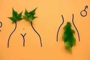 性科学书籍合集：探索多元性健康知识