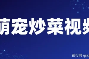 萌宠炒菜：爆款视频创作与变现介绍
