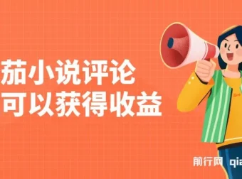 番茄小说评论收益项目介绍