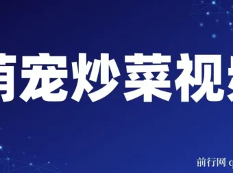 萌宠炒菜：爆款视频创作与变现介绍