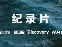 央妈推荐小初高寒暑假必看纪录片合集