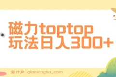 磁力toptop玩法课程：轻松上手的赚钱项目