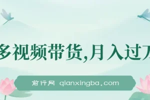 多多视频带货：轻松兼职项目介绍