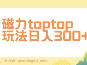磁力toptop玩法课程：轻松上手的赚钱项目