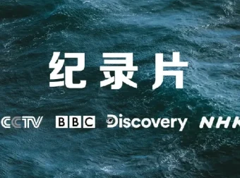 央妈推荐小初高寒暑假必看纪录片合集