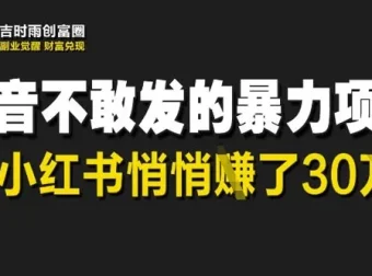 小红书天涯神贴暴利项目：低门槛轻资产创业指南