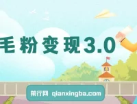羊毛粉变现3.0：全网独家引流教程