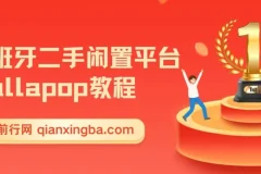 西班牙二手闲置平台Wallapop跨境电商教程