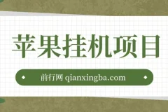 苹果挂机项目玩法介绍