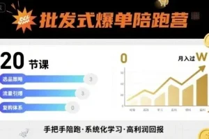 批发式爆单陪跑营：20节实战课实现爆单