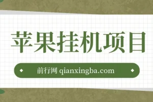 苹果挂机项目玩法介绍