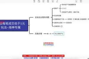 拼多多直通车高投产玩法：搜索、场景与全站推广实战课程