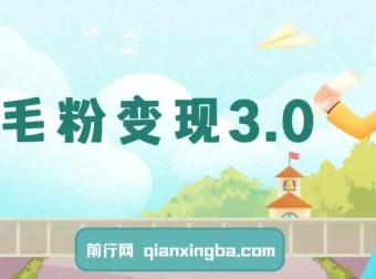 羊毛粉变现3.0：全网独家引流教程