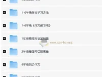 陈心小学语文满分作文课程