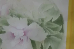 龚雪青亲授工笔牡丹《牡丹小晴》3讲课程