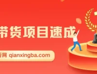 图文带货项目速成课程：无出镜、无发货、不开播也能赚钱