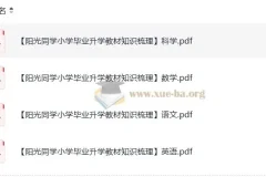 阳光同学小学毕业升学 小升初 教材知识梳理