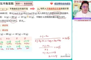 2024高二化学尖端班秋季系统课（含热化学/平衡/电解质）