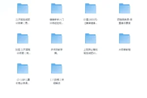 《付费健身VIP课程大合集》