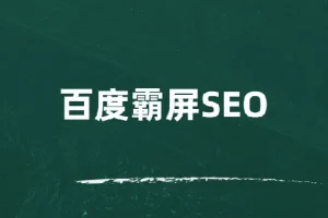 覃加波百度霸屏SEO课程