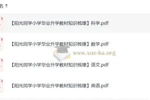 阳光同学小学毕业升学 小升初 教材知识梳理