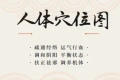 人体穴位图及穴位图解大全