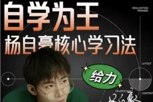 杨自豪小初高高效学习课程合集