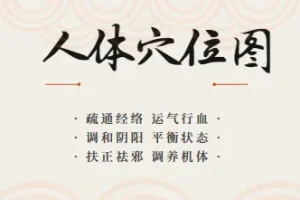 人体穴位图及穴位图解大全