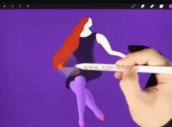 Procreate绘画与插图全阶段课程（含素材）