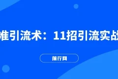 精准引流术：11招引流实战课程