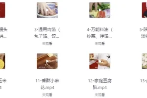 20套家庭面食面点私房视频课程