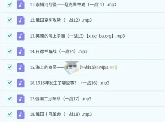 王芳讲一战二战音频课程